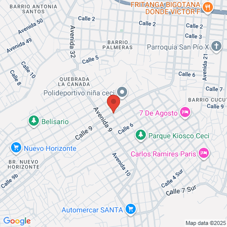 Barber Style Lion map