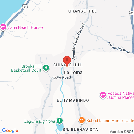 Vacunación Covid 19 Ese Hospital Jorge Julio Guzman map