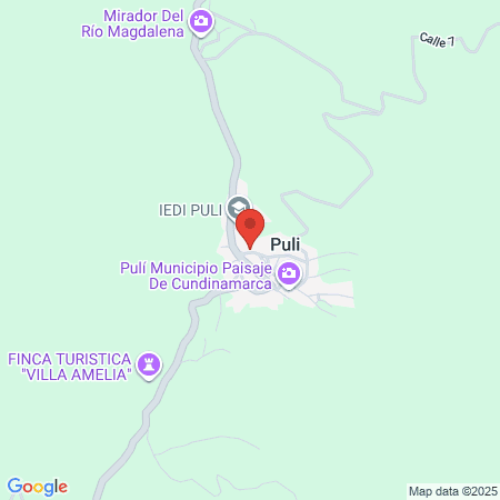 Vacunación Covid 19 Puesto De Salud Puli map
