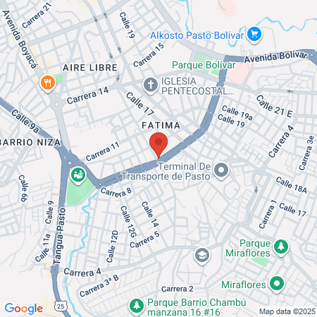 Instituto Evolution map