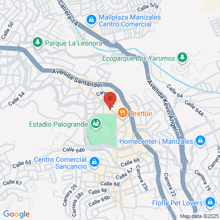 Senzi Consultorio De Especialistas map