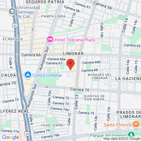 Centro Veterinario Huellas Sanas map