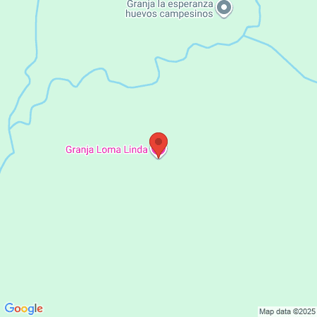 Fit Educación Superior map