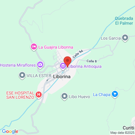 Veterinaria Rafiki map