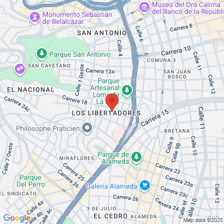 Dr Andrés Felipe Revelo Salamanca Cirujano Maxilofacial map