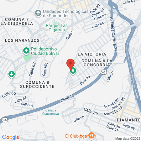 Centro Clínico Veterinario Dr Roberto map
