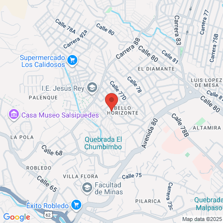 Kiara Pets Veterinaria map