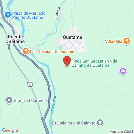 Villa Pets Spa Canino map