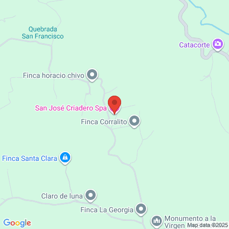 Natural Beauty By Ainara map