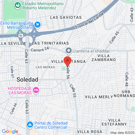 Neovets Clínica Veterinaria map