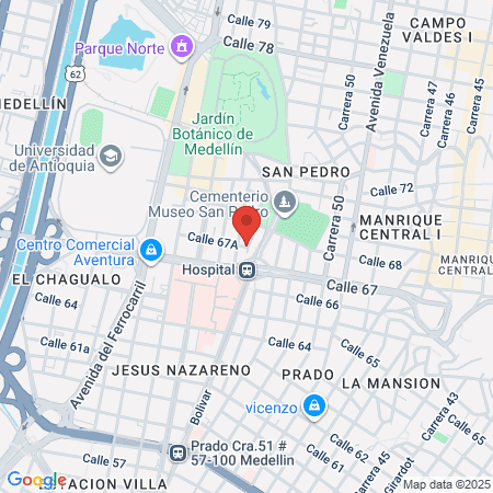 Virrey Solís I P S map