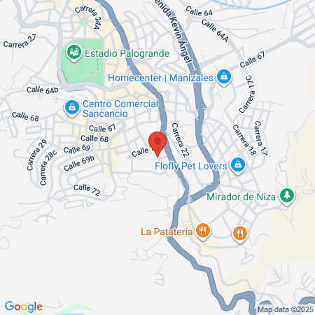 Icalmed Instituto Caldense De Medicina Del Dolor map