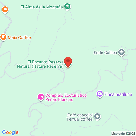 Consultorio Odontológico Riedent map