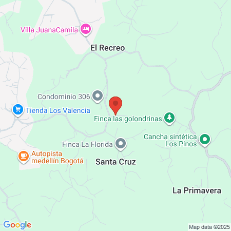 Visionario Digital map