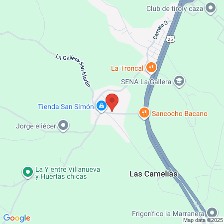 Ips San Francisco De Asís map