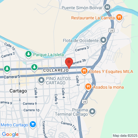 Centro Estético Michel Vega map