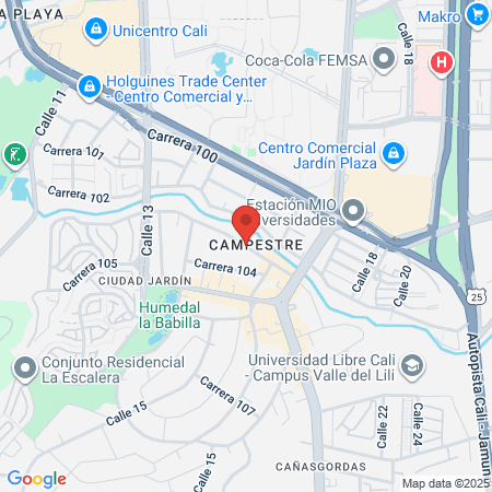 Dr Ricardo Gómez Palau Cardiólogo map