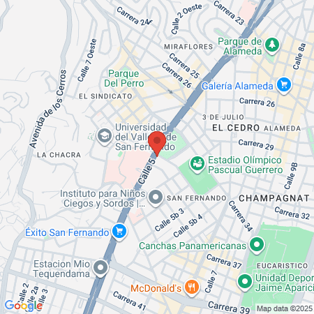 Densitometría Cali map