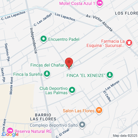 Flavia Bustamante map