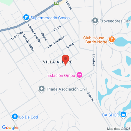 Nu Skin Argentina map