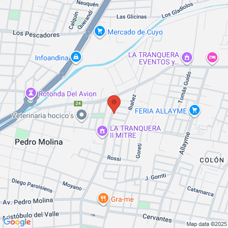 Instituto Gema map