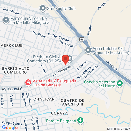 Veterinaria Cat Dog map