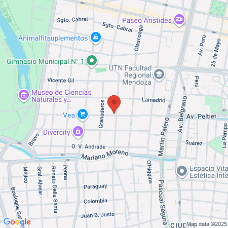 Clínica Moguillansky map