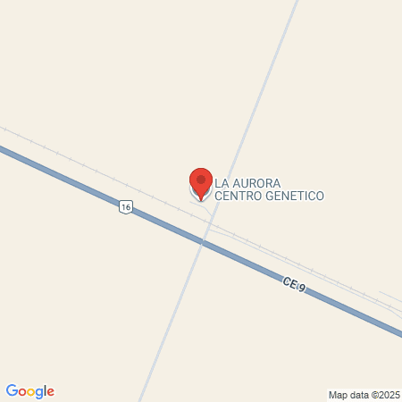 Veterinaria Punto Norte map