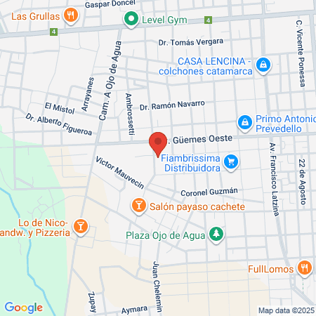 Mendibe Veterinaria map