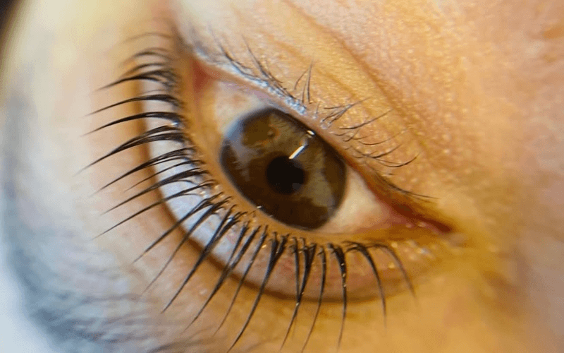 Eleva tus Pestañas con consciencia!