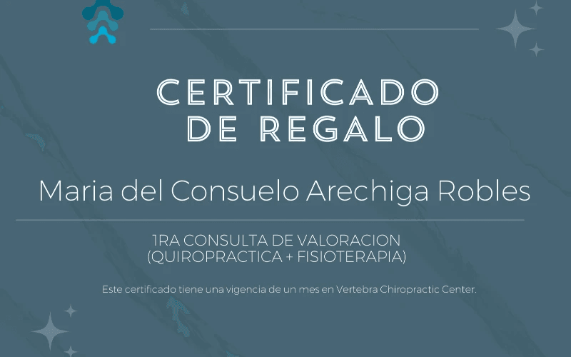 Maria del Consuelo Arechiga Robles 