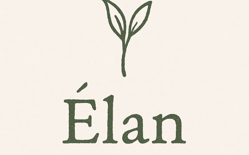 ✨ Giftcard Élan – Sesión de Acompañamiento Terapéutico