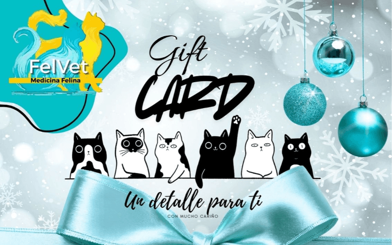 Gift Card Especial Navidad 