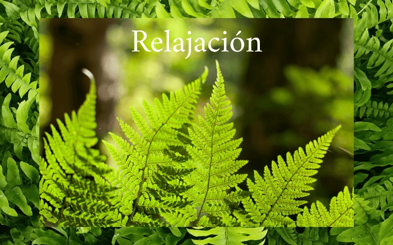 Masaje de Relajación 30 