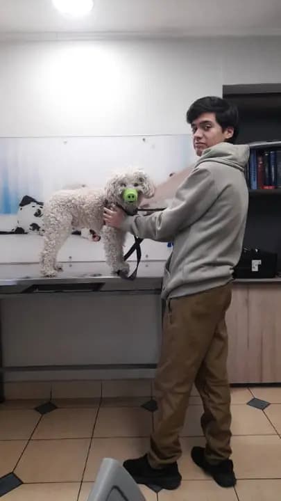 Review image