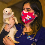 Dra. Francisca Casas photo