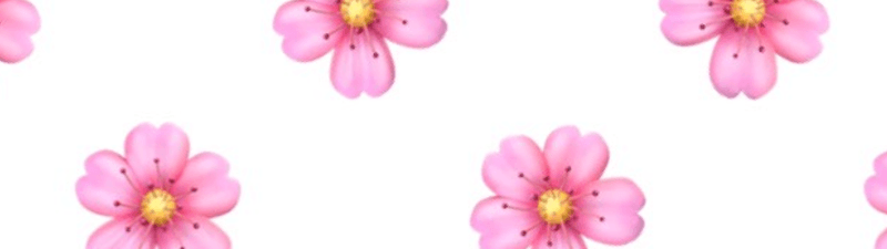 Lovely Studio interior