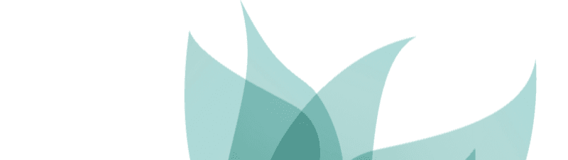 ALMA NUTRICIÓN banner