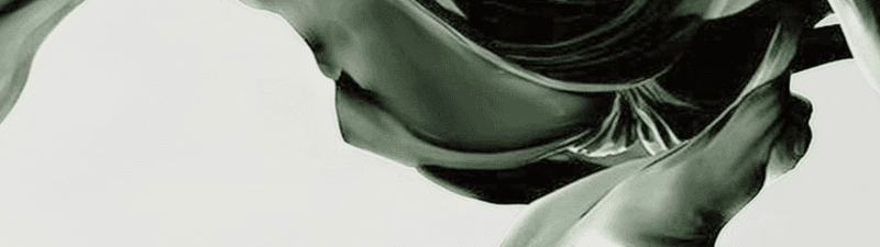 Vainilla Beauty Spa banner