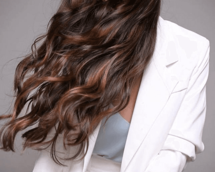 Dark Brown (morenas iluminadas)/ Shatush