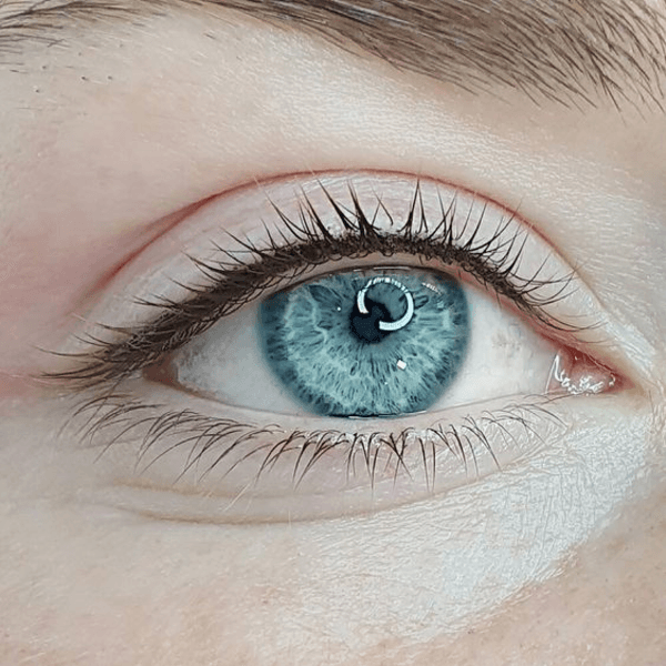 Linea superior o realce de pestañas