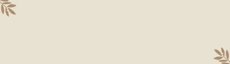 Yeimi Raigoza Spa Estética y Bienestar banner