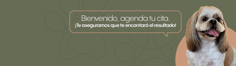 Pet Salon Gloria Rojas banner