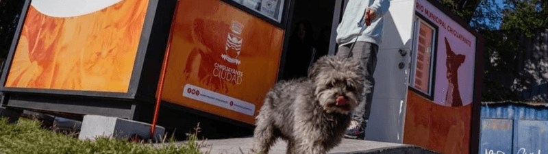 SERVICIOS VETERINARIOS MUNICIPALIDAD DE CHIGUAYANTE banner