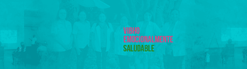Centro de Psicoterapia Integral VIBHO  banner