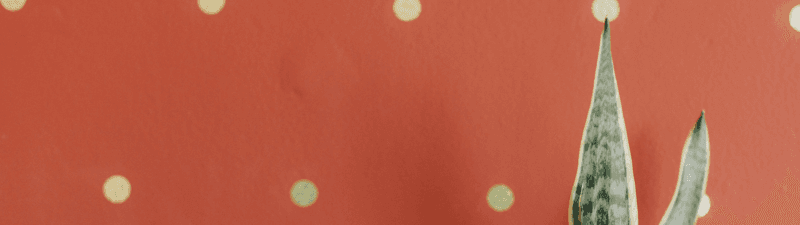 Bonita Salón banner