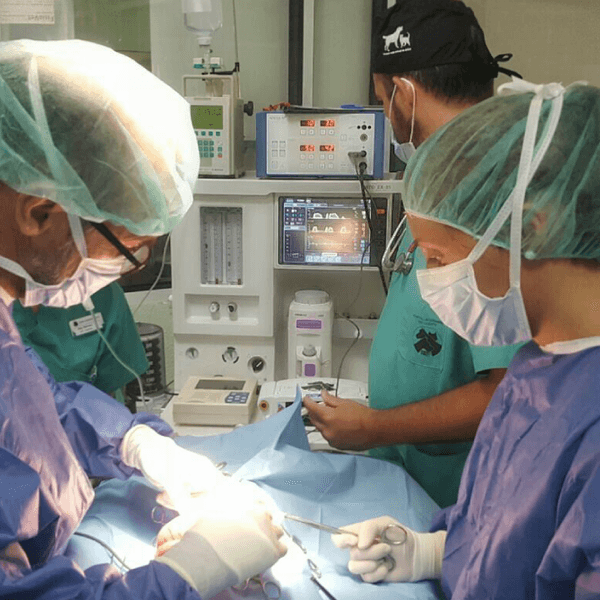 Consulta Quirúrgica