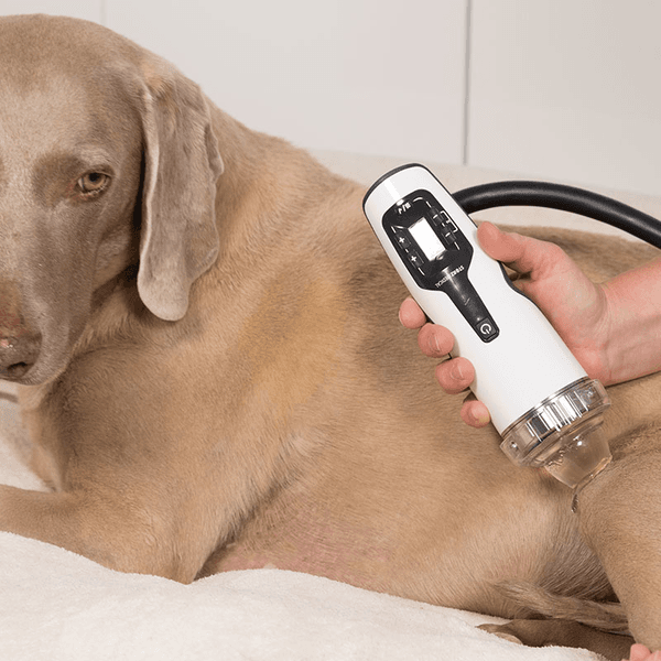 Tratamiento ondas de choque bajo sedación