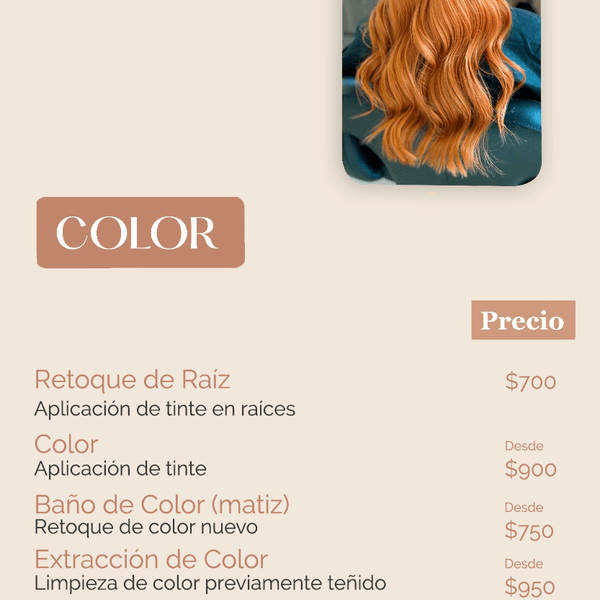 Extracción de Color