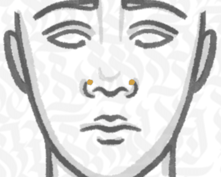 Doble Nostril (Dos perforaciones de nariz)